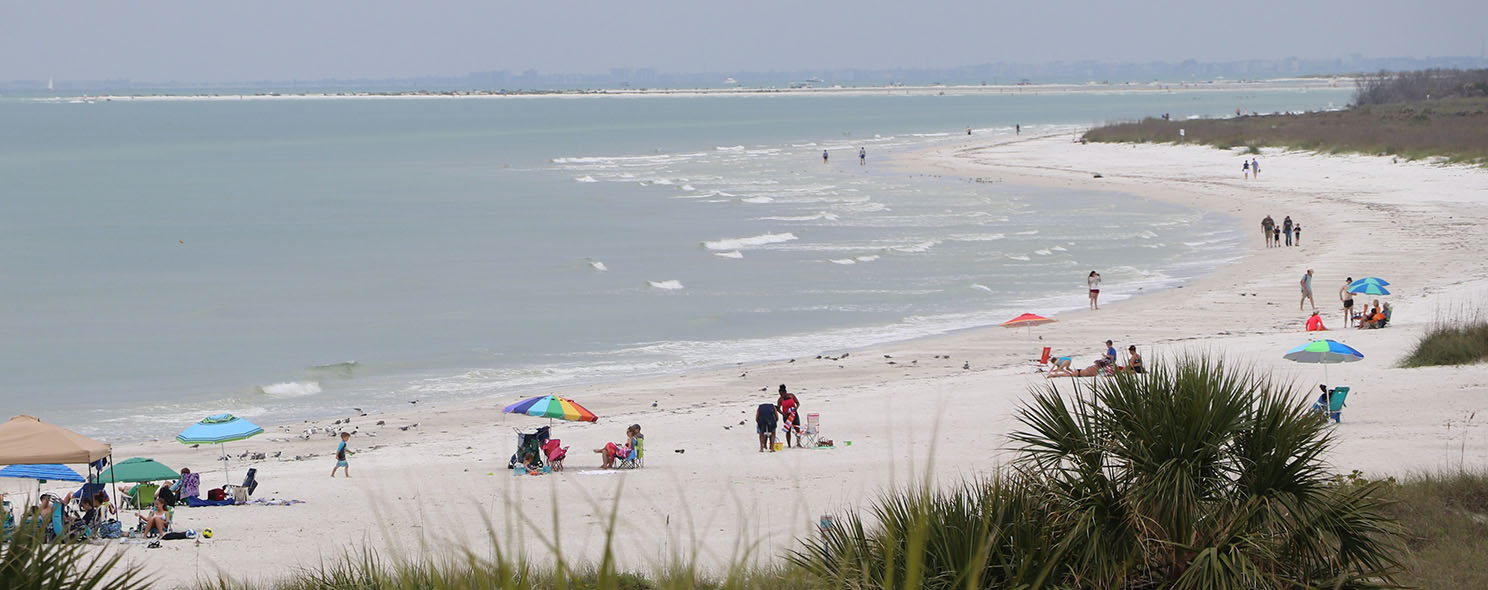 Top attractions and things to do in Tampa Bay — tours, sightseeing and activities